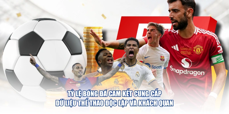 Tỷ Lệ Bóng Đá cam kết cung cấp dữ liệu thể thao độc lập và khách quan