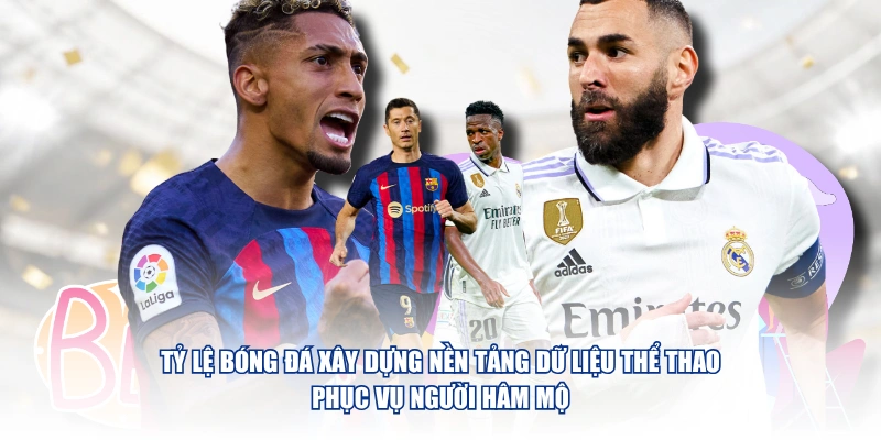 Tỷ Lệ Bóng Đá xây dựng nền tảng dữ liệu thể thao phục vụ người hâm mộ